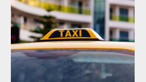 택시기사 짐 꺼내는 사이…차 빼앗아 달아난 40대 승객