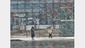 목요일 먼지섞인 비 최대 60㎜ 더…강원 산지 최대 15㎝ 눈폭탄