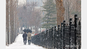 강원산지 최대 15㎝ 이상 폭설…중서부 지역 미세먼지↑