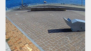 단순 익사인 줄 알았는데…“바다 들어가라” CCTV에 찍힌 진실 