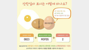 산란일자 뒤 영문·숫자 의미는?…달걀에 새겨진 ‘숨은정보’