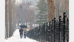 주말 강원영동 최대 40㎝ 폭설·일부 지역 비…다음주 강추위