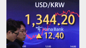 OECD서 6번째로 저평가된 원화…물가 안정까지 먹구름