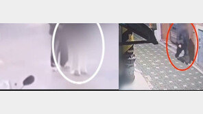 추운 새벽, 만취 여대생 성폭행 후 방치하고 도주…동창 남학생 체포