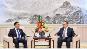 류젠차오 中 연락부장, 리용남 北대사와 회담…“양측관계 강화”
