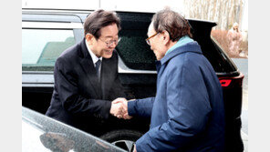 ‘총선 D-80’ 이재명 만난 이해찬 “크게 이겨 꽃피우는 게 중요”