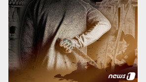  “고기 썰려고 샀을 뿐”…신문지에 싼 부엌칼 들고 다닌 50대 한바탕 소동