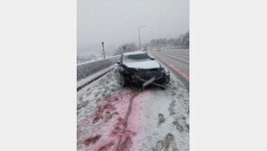 폭설에 고립되고 다치고…눈폭탄 강원 곳곳서 사건사고 속출