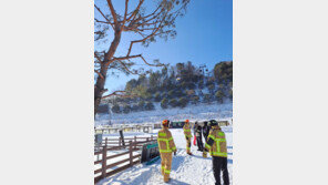 곤돌라 멈춤, 리트프서 추락…아찔한 스키장 사고
