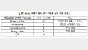 어그 부츠, 80% 할인해준다고?…사기 해외쇼핑몰 주의보