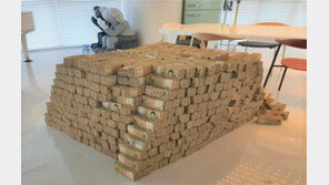 550억 검은돈 세탁에 백남준·피카소 작품까지 동원