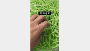 튀기면 다 맛있다?…초록색 ‘녹말 이쑤시개 튀김’ 먹어도 될까