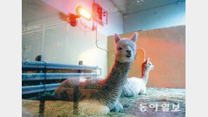 “추울 때는 히터 앞이 최고”