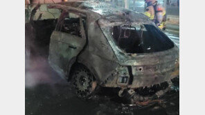 교각 들이받은 전기차 전소…화염 휩싸인 운전자 사망 