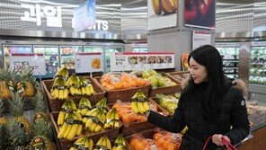 롯데마트, ‘할당관세 적용’ 수입과일 할인행사… 과일 물가안정 동참