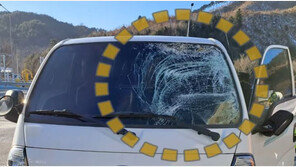 고속도로서 날아든 얼음판에 앞유리 ‘와장창’…車 지붕 눈 치워야