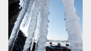 북극 냉동고 한파에 슬쩍…야외진열 ‘이 식품’ 풍미실종