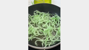 ‘녹말 이쑤시개 튀김’ 먹방 유행…정말 먹어도 될까?