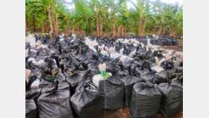 농장 지하서 마약 22t 우르르…에콰도르, 1340억원치 적발