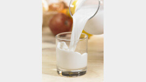 “유당불내증 있는 성인, 우유 마시면 ‘이것’ 위험 30% 감소”