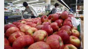 “사과·파값 2배” 사장님도 무서운 신선식품…1년새 17.3%↑