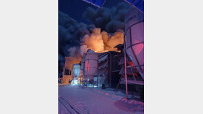 충남 천안 양계장서 화재…닭 11만 마리 폐사