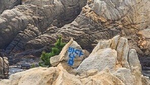 “액운 털어내려고”…울산 대왕암공원 바위 낙서범 검거