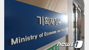 넷플릭스에 부담금 물리나…평가단, OTT에 영화기금 부과 권고