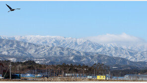 한파에 서울 63곳 계량기 동파…인명 피해는 없어