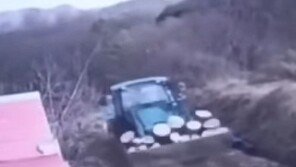 “40년 키웠다, 퇴직 후 한옥 지으려 아껴”…5층 높이 나무 베어간 절도단