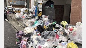 남이 내놓은 쓰레기 쏟고 종량제 봉투만 ‘쏙’…봉투 도둑 검거