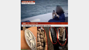 “아버지가 부산 구청장”…150억 사기 쳐 명품으로 휘감아 40대 여성