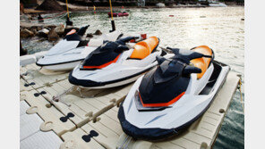 국가대표 제트스키 안에 마약이?…뜯어보니 전자담배