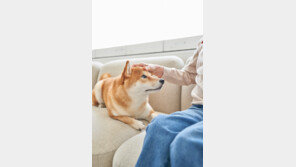 “자식들 안 찾아와” 中 할머니, 개·고양이에 37억원 상속