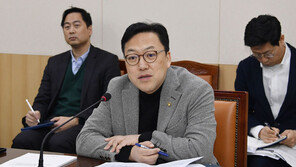 정부, 金값 사과·배 4.4만t 집중 공급…내달 6일 설 교통대책 발표