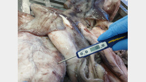 ‘韓식품수출’ 해외 제조업소 37곳 적발…“위생관리 불량”