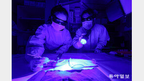 “20대 남성의 피부입니다”… DNA만으로 나이-신체부위 맞힌다 