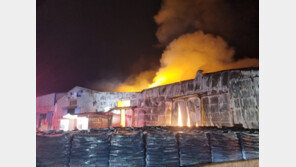 경주 비료공장 화재…모래 뿌리며 12시간여 만에 진화 