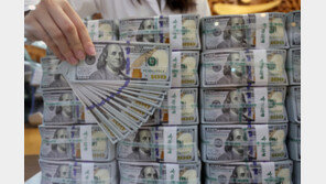 코로나 끝나니 ‘위조지폐’ 다시 증가세…美 달러가 ‘압도적 1위’