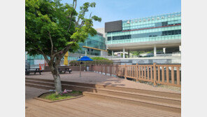 “친환경 합성 목재 예스팀바로 시장 선도” 