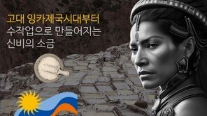 소금나무, 잉카 태양의 소금 출시 기념 이벤트