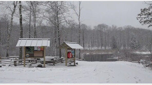 얼음 깨져 연못에 빠진 美부자, 4살 아들 물에서 밀어낸 후 아빠 사망