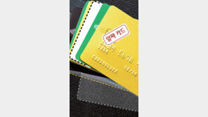 카드사 “손해난다”… 알짜카드 458개 없앴다