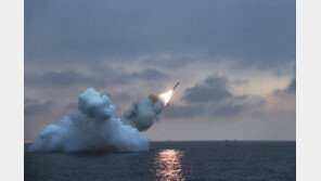 北 “30일 순항미사일 ‘화살-2형’ 발사”…지면 근접 저공비행 과시