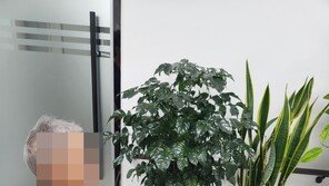 “기저귀 3개 동시 착용·학대” 요양원 70대 환자, 두달 만에 숨져