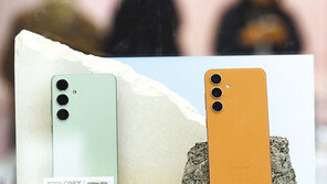 “115만원 갤S24를 48만원에”… ‘단통법’ 유명무실 