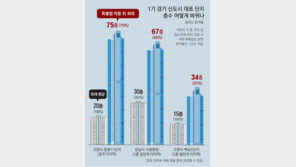 1기 신도시 재건축, 20층→75층도 가능