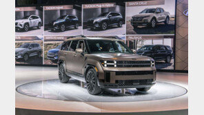 美 싼타페가 2000만원 비싸…“국내 고객이 봉” 이런 말 안통한다