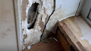 이사 전 ‘폐가’ 만들어 둔 임차인에 집주인 ‘분통’