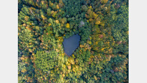  로케뜨, 플라스틱 소재 ‘아이소소바이드’  ISCC PLUS 인증 획득